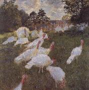Claude Monet Turkeys oil painting picture wholesale